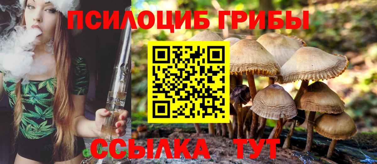 Галлюциногенные грибы мицелий Норильск